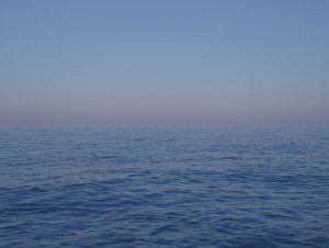 Picture of Ocean