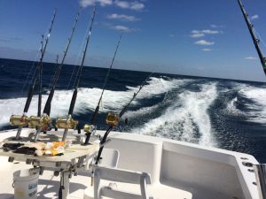 Boat Wake and Fishing Rods