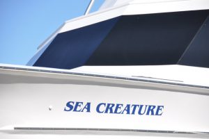 Bow of Sea Creature