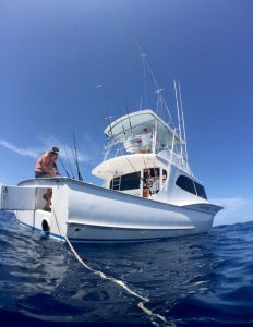 Fisheye Photo of Sea Creature