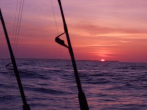 Fishing Pole Sunset