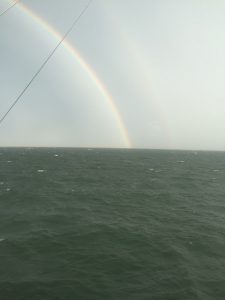 Rainbow as Seen from Sea Creature