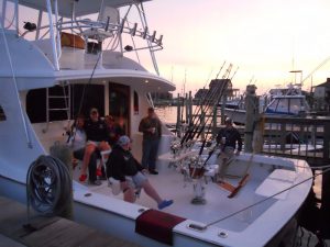 Sea Creature Docked