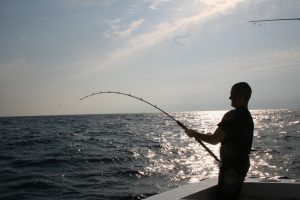 Silhouette of Man Fishing on Sea Creature